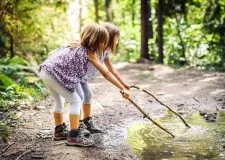 Insect repellents: How to protect your child from insect bites