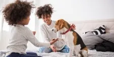 Healthy pets, healthy people: How to avoid the diseases that pets can spread to people